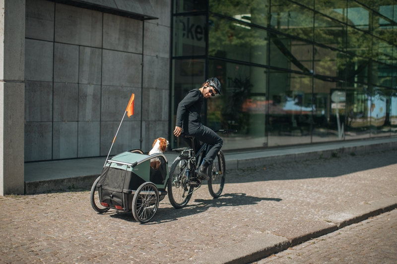 Thule Bexey Medium - Cykelanhænger til hunde